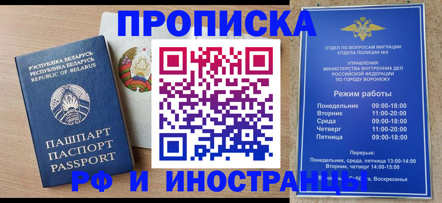 пропишу в квартире в Бердске